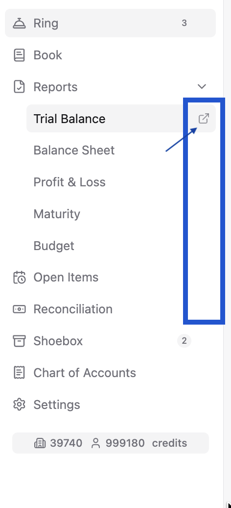 The Ringbook sidebar with Trial Balance hovered, highlighting the open-in-new-tab icon that appears at the right edge of each menu item.